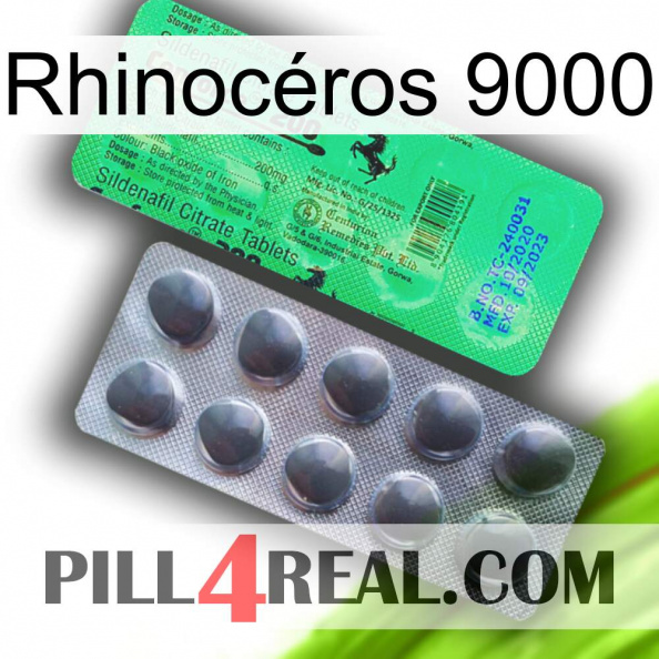Rhinocéros 9000 new04.jpg